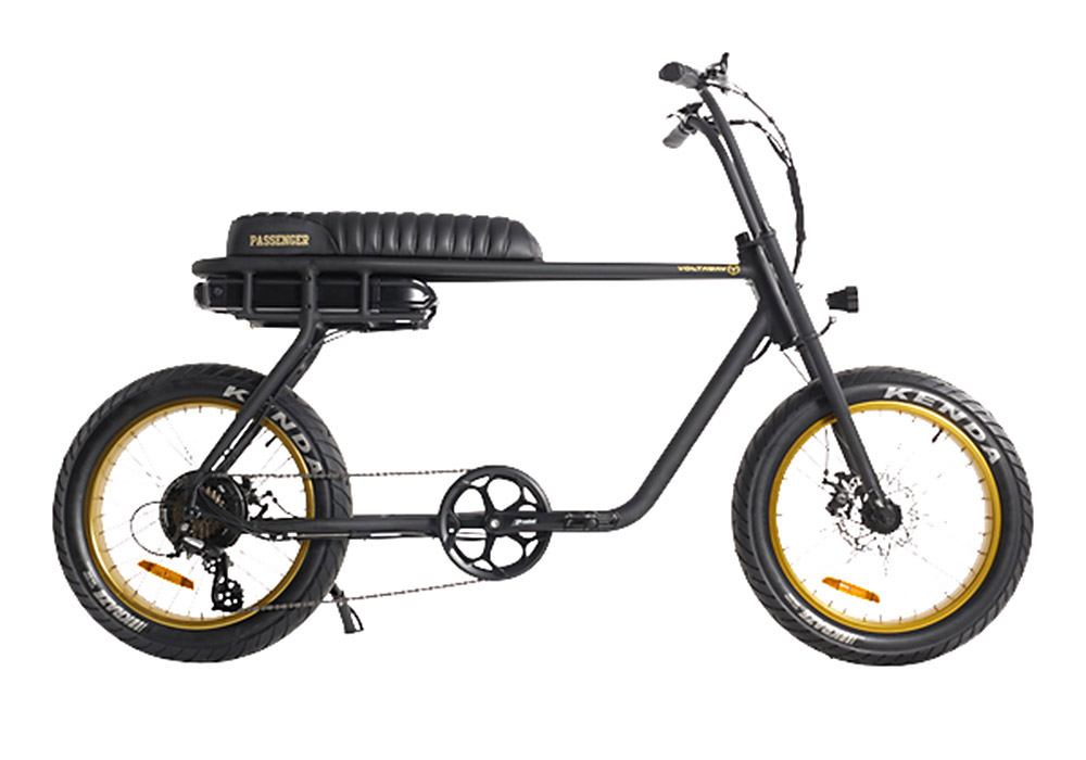 Locacycles - Rent an  Passenger E-Bike